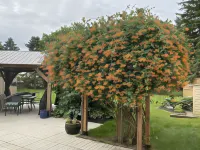 Rocklyn Inn Bed & Breakfast فنادق في Grey Highlands