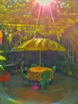 Hotel Oasis Отели в г. 