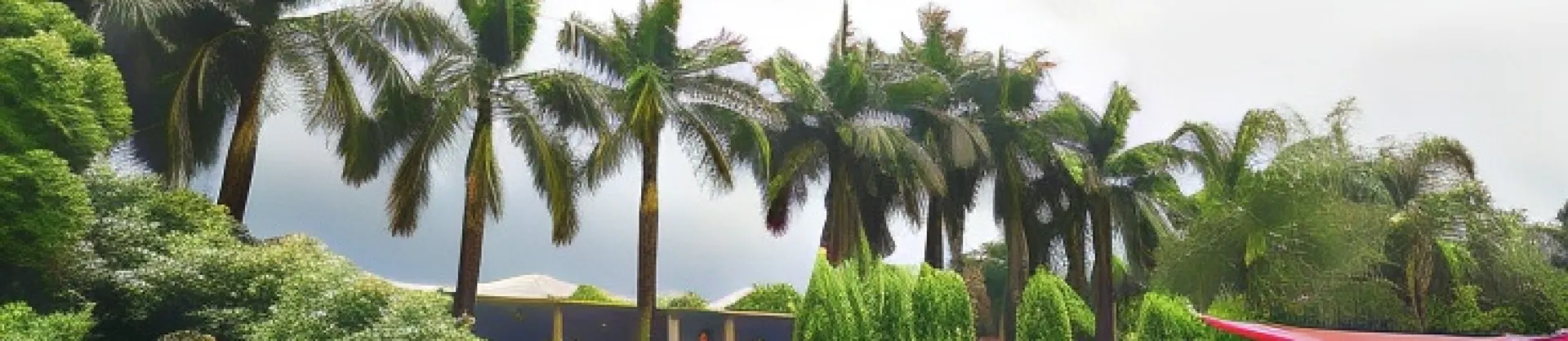 Gehobene Hotels 
