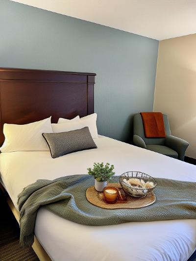 Standard Queen Room Drury Inn & Suites Detroit Troy Photo