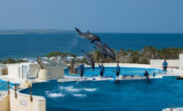 Karry Condo Churaumi