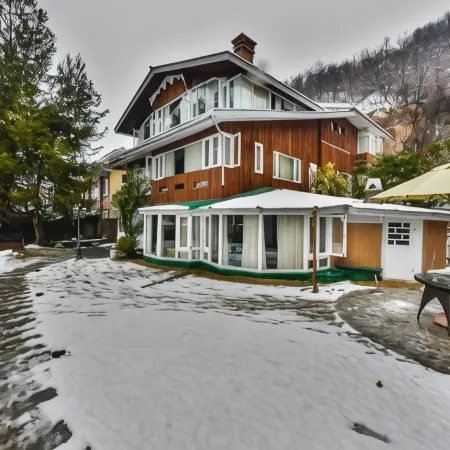 Hotel Metropolis Srinagar