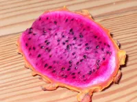 펀 포레스트 겟어웨이