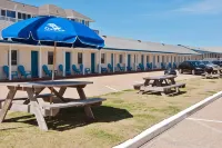 Dolphin Oceanfront Motel - Nags Head Hotels in Wanchese