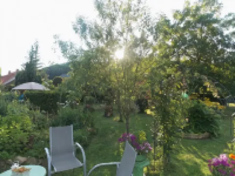 Landhotel Fasanenhof Hotels in Datterode