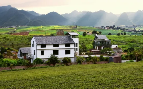 Moc Chau Cottage homestay