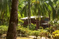 Poor Man's Paradise Lodge