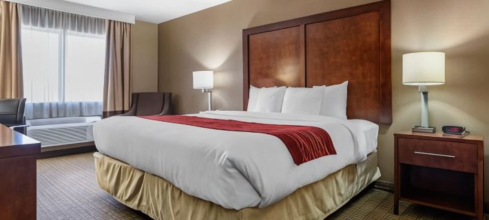 Comfort Inn & Suites Leeds I-20 Hotel di County Stasiun Clair