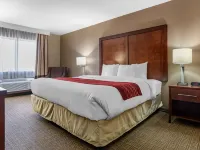 Comfort Inn & Suites Leeds I-20 Hotels in St. Clair County