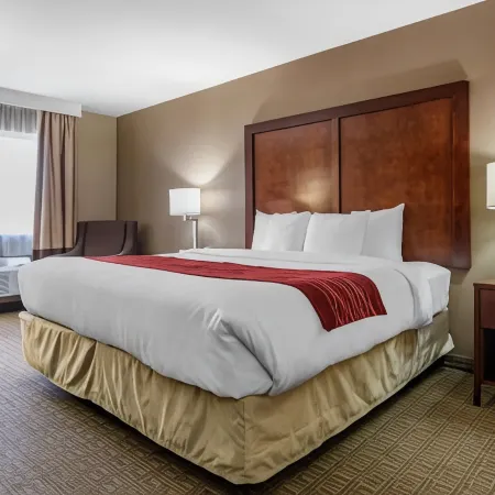 Comfort Inn & Suites Leeds I-20