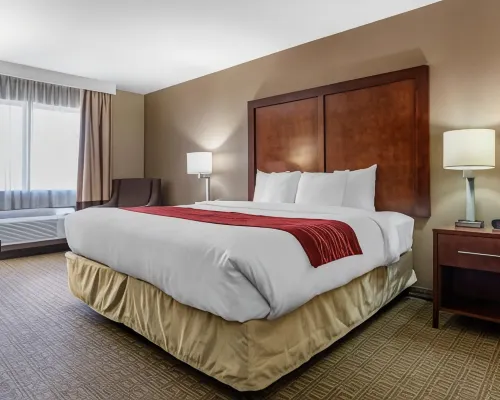 Comfort Inn & Suites Leeds I-20 Hotels in St. Clair County
