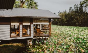 The Boathouses at Leaves & Fishes