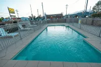 All Travellers Motor Inn - Pools
