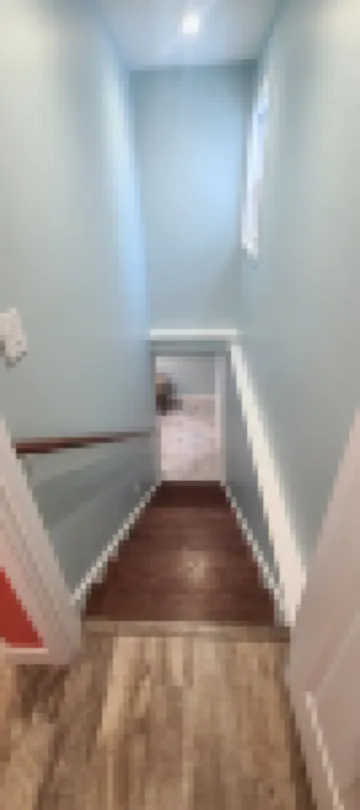 Newly remodeled "Beach" Themed home that is close to downtown and Mayo Clinic.