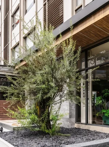 รูปภาพของ56 สุรวงค์