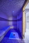 Hôtel Le Petit Perier - 3 étoiles - Laval - Spa