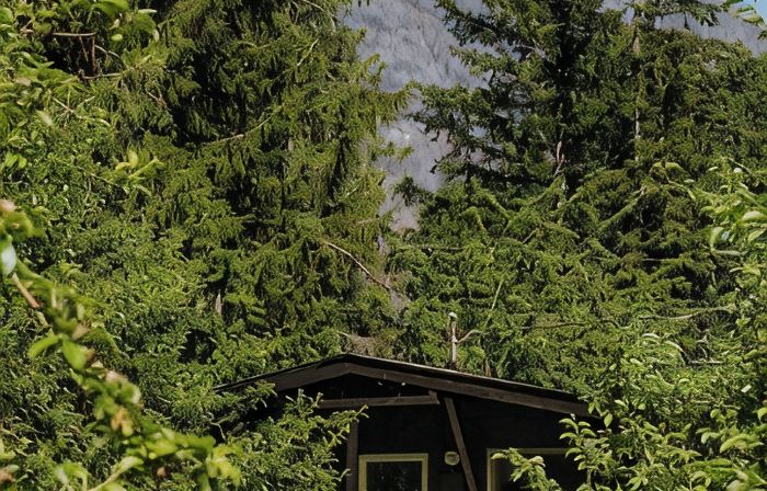 Chalet Rivière 2-bedroom cabin with AC and WiFi in Gold Bar