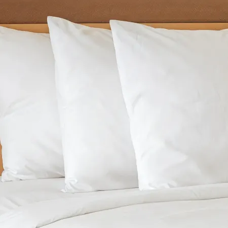Holiday Inn Express & Suites MENTOR - BANQUET CENTER by IHG