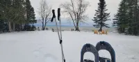 Serene Lake Superior Escape Beachfront Getaway or Snowy Ski Retreat - 3-Star