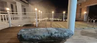 Cod Deer WAS a Flower - 膳食民宿