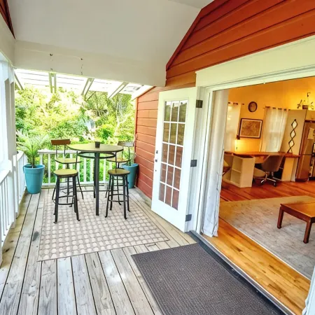 Incredible fenced in dog friendly cottage in downtown Brevard with hot tub!