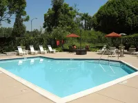 Fullerton Marriott at California State University - Pool