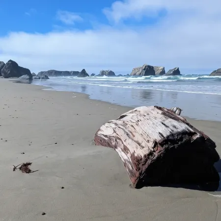 Bandon Seaside Escape
