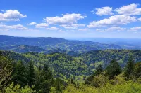 Cozy Hirschlein Vacation Apartment with Black Forest View in Baiersbronn - 4-Star