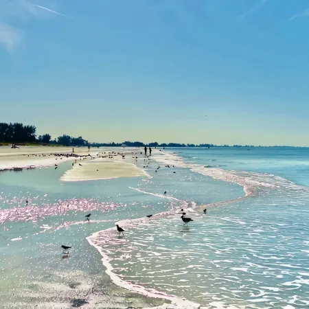 Sandy Cheeks & Barefeet, Gorgeous Interior Gulf Beach Place, Pool, on Beach Side