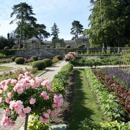 Ibis Senlis