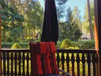 Holidays on the Scharmützelsee, relaxing in the green - Gym
