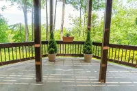 Treetop Hideaway with mountain views. 1000 sq. ft. 10 min to downtown Asheville! - WiFi
