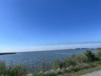Peaceful Retreat on the Eastern Shore. Nature lover’s paradise!