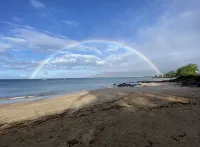 Spectacular Summer Specials - Beachfront Condo with Amazing Oceanfront Views. - บูติค
