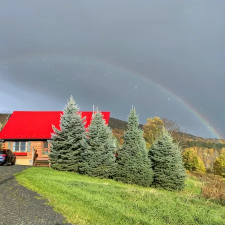 Summer fun in the Catskills