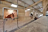 Lovely Cottage Situated in 40 Acres - 무료 와이파이