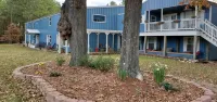 Stay 'n' PlayUpstairs 2 Bedroom Apartment 1/4 mile from Houston County Lake - 무료 와이파이