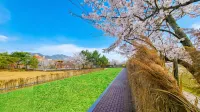 Suncheon Suncheon Bay Eco Village 2 Pension