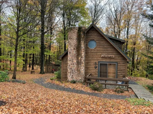 Peaceful & Serene  🦌 Cozy Hillside Cabin  ☀️ Koi Pond 🐸 Pet Friendly 🐕