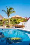 Hotel Boutique Punta Jamaica - acceptant les animaux