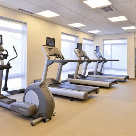 SpringHill Suites Detroit Metro Airport Romulus