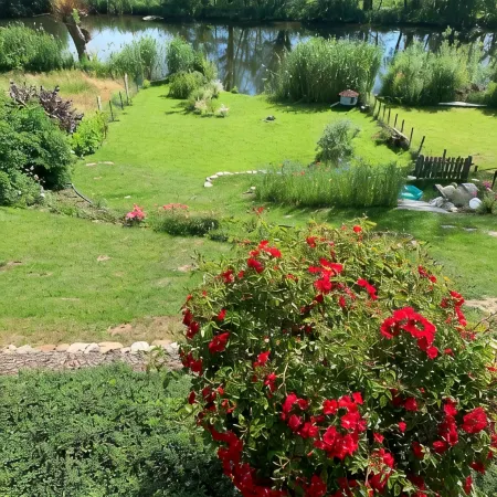Beautiful apartment right on the Trave