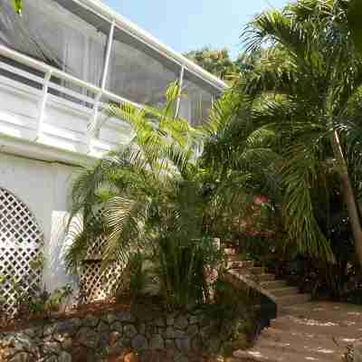 Best-Priced 1BR on Stj! Perfect Location W/ Ocean View & Pool! Hotel Exterior