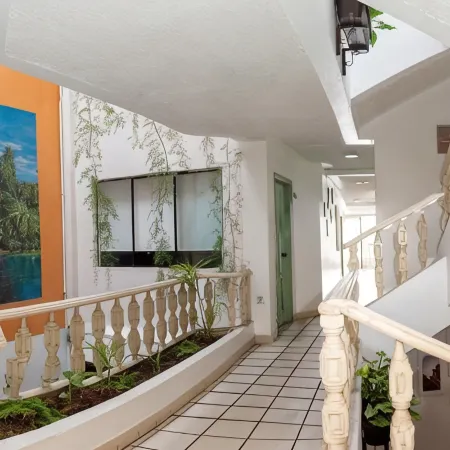 Hotel Cisne