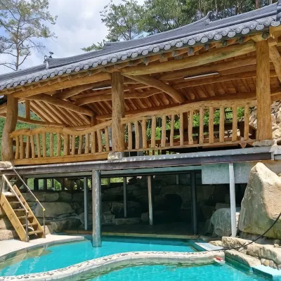 Sinseonbong Hanok Pension in Chungju - Pools