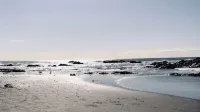 Seaside Garden Day Off