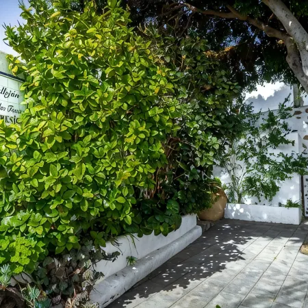 Luxury loft in the center of Arrecife. Very spacious and bright. Newly renovated!