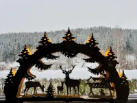 Gemütliche Berghütte mit Kamin im Erzgebirge Nahe Schwarzwassertal Hotels in Marienberg