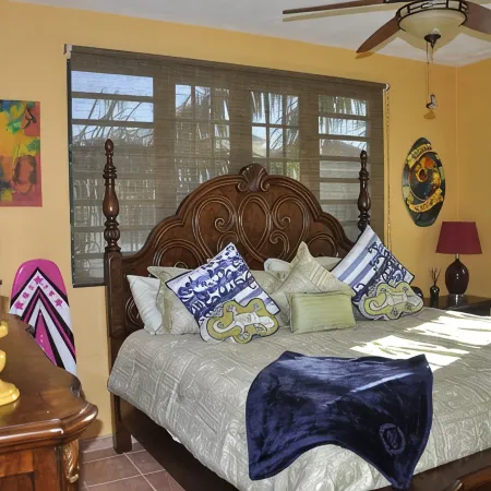 Exclusive Caribbean Villa / Rooftop Jacuzzi / Private Beach/ 24 Security /5 star