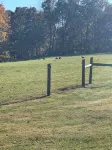 Renovated!  Peaceful farm setting.  Close to TTU, town and Cummins Falls. - 3-Star